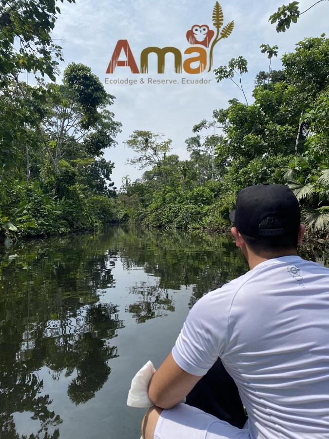 Ama Ecolodge Puerto Misahuallí エクステリア 写真