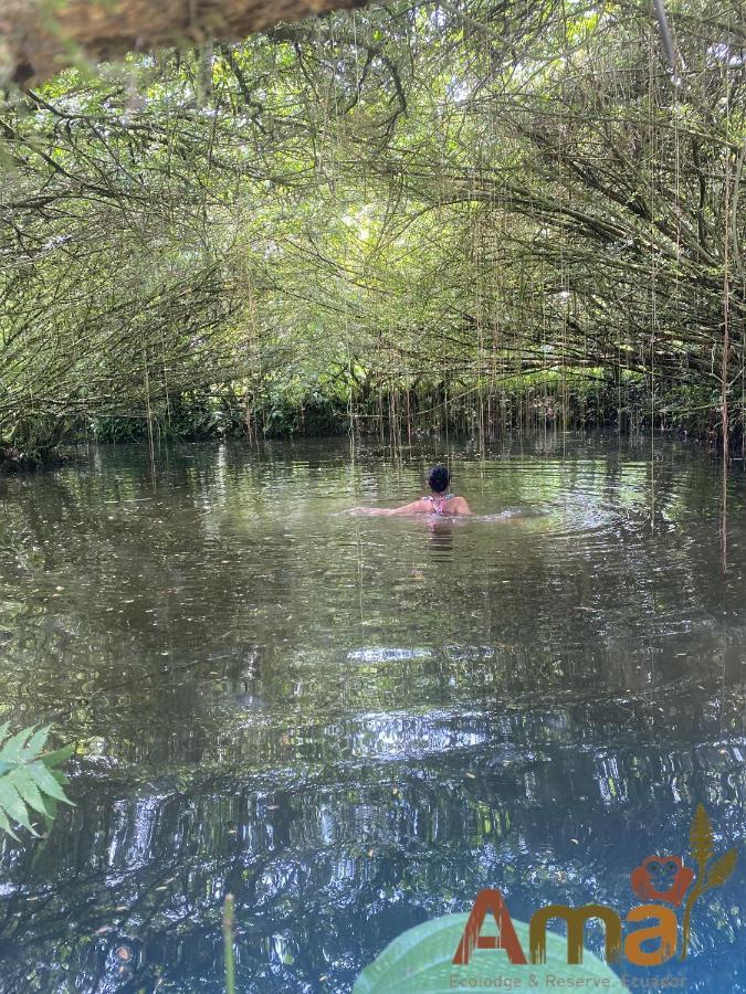 Ama Ecolodge Puerto Misahuallí エクステリア 写真