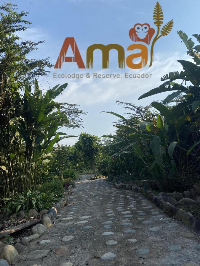 Ama Ecolodge Puerto Misahuallí エクステリア 写真